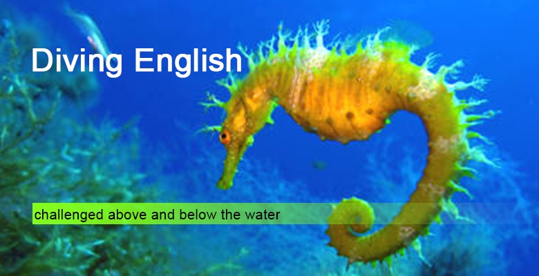 Diving English
