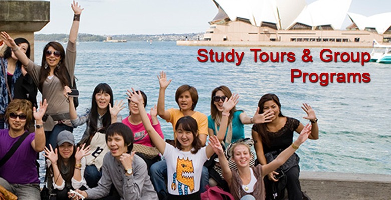 Study Tours and Group Programs